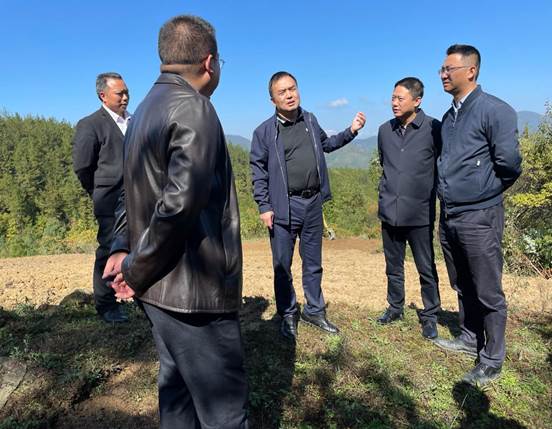 杨坪村油茶基地